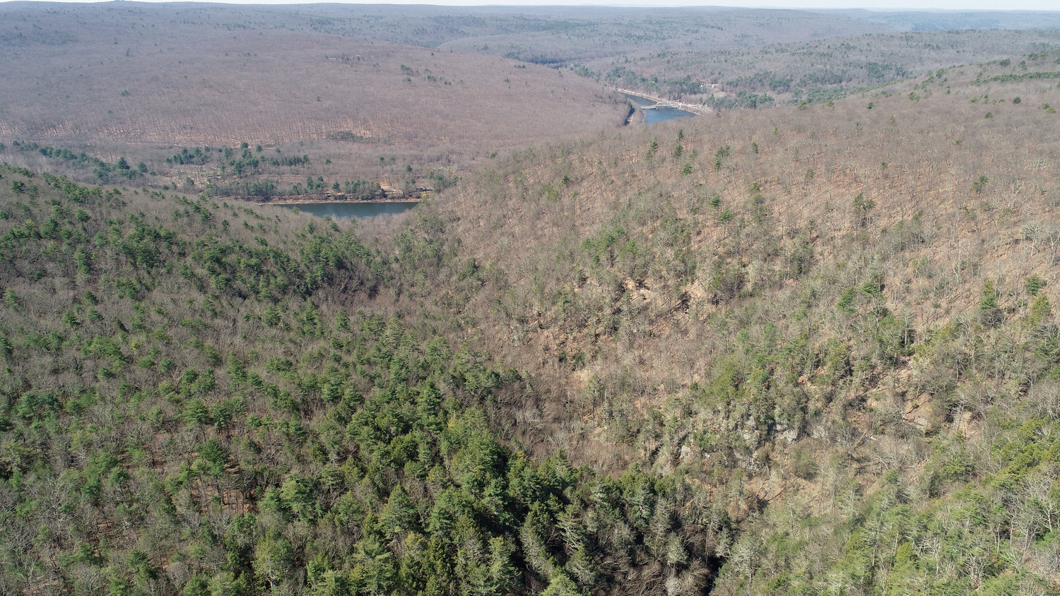 An aerial image of a small tributary stream that feeds the Delaware River; these streams are typical of the region. An abundance of hemlock is present streamside with some white pine present as well. Even the small streams can sustain species like brook trout if the water temperature does not climb too high.